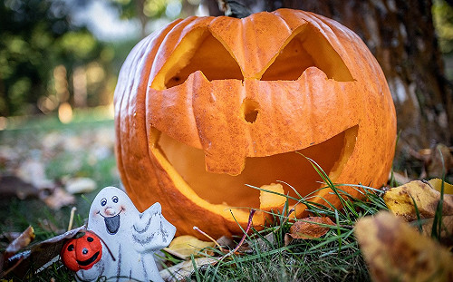 孩子和毛小孩萬聖節裝扮　電商統計「漫威」這個裝最熱