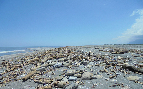 花蓮海灘現大量漂流木 縣府公告開放撿拾