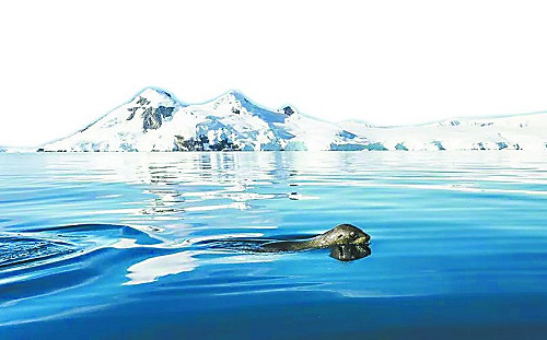 年輕人熱捧 中國有望成南極最大客源國