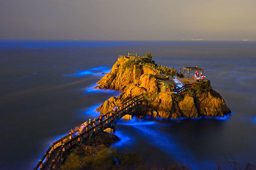 馬祖｢藍眼淚｣10月反常爆發 專家:疑因中國抽砂船大量圍靠攪動海域