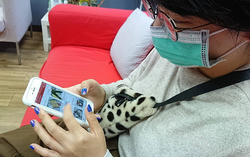 雙11搶商機花招百出！AR、VR、遊戲、全多國語言轉換全上場