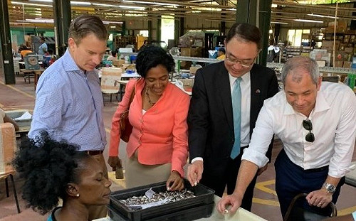 美台首度組聯合商務考察團   助台鞏邦交