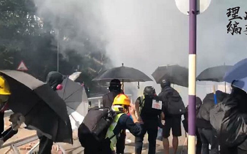 世紀之毒戴奧辛「全港中招」？ 港官員辯解無文獻、案例