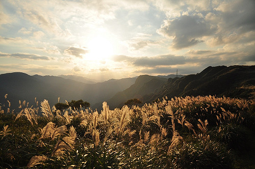 草嶺古道芒花正開！貢寮秋季美景美食一次攻略