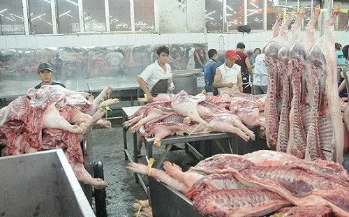 中國聲稱 研發出非洲豬瘟疫苗