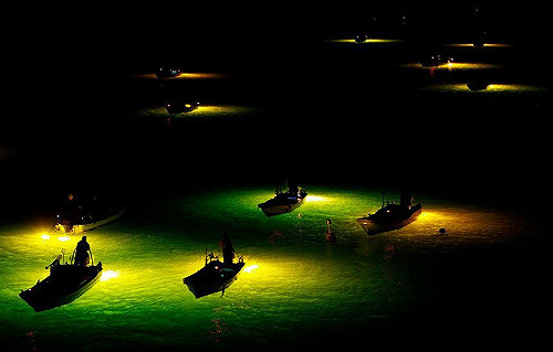 冬季限定！日本德島夢幻「水上螢火蟲」只在深夜出現