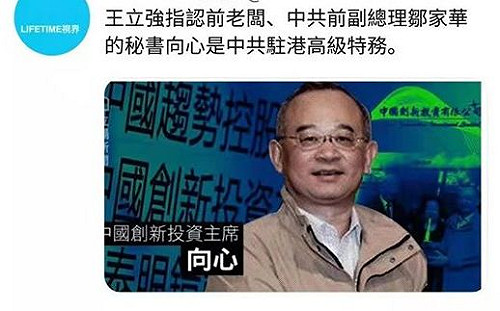 共諜王立強案 汪浩：向心夫妻在港「中國創投」系屬解放軍