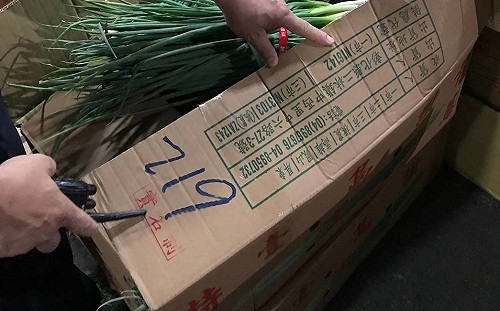 把關食安！北農落實「實名制」未登記供應商恐無法進場拍賣