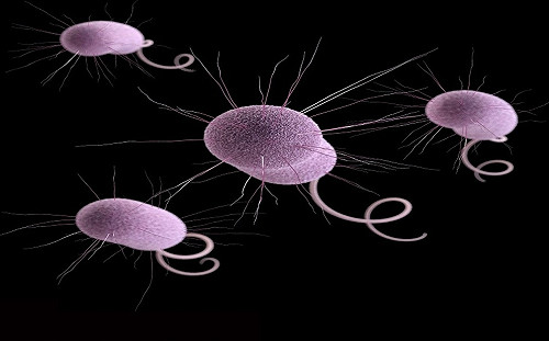 日本首度推算 每年約8000人死於抗藥性細菌