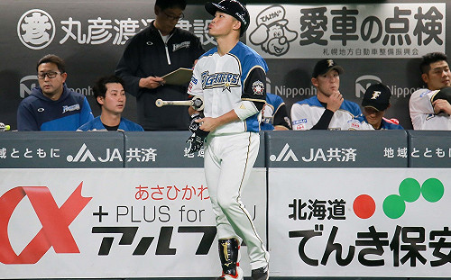 日職／紐維拉加盟火腿大利多  王柏融可望專心指定打擊