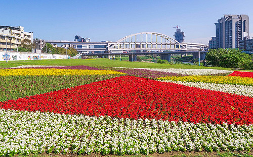 超美麗！台北成美河濱6萬多盆繽紛花草盛開到明年