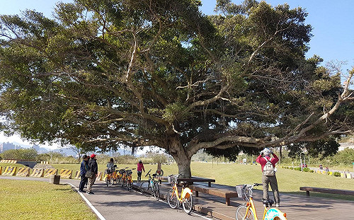 從石門水庫一路騎到淡水！自行車道串連新北桃園一日生活圈