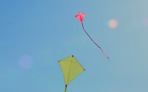 （影）小英最新競選主題曲 《自信勇敢咱的名》MV正式曝光