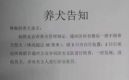 北京「限狗令」燒到台灣? 綠黨、時力兩黨交鋒