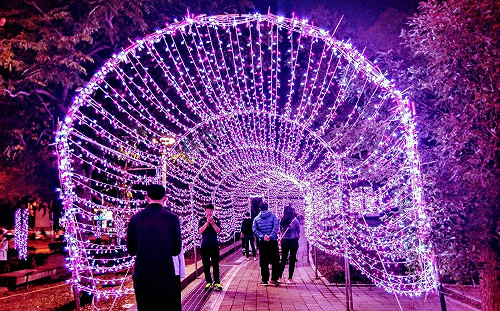 2020台灣燈會副展區12/21登場！周邊交管措施報你知