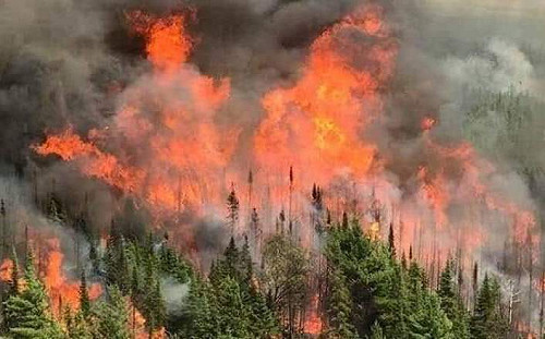 澳洲野火燒掉3個台灣 恐還得再燒1個多月