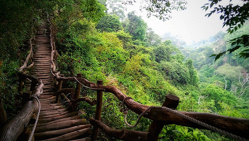 春節假期甩油去  台中大坑2號步道整修完工