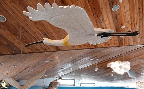 春節出遊賞美景   國家公園任我行