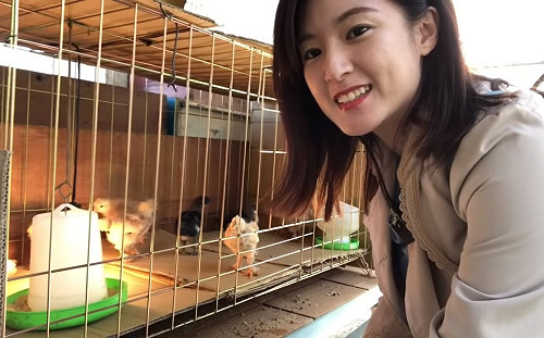 何庭歡探望韓國瑜九隻小雞　成長快速一手無法掌握