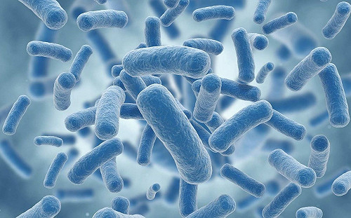 武漢肺炎》最新消息！澳門「淪陷」 確認一旅客染病