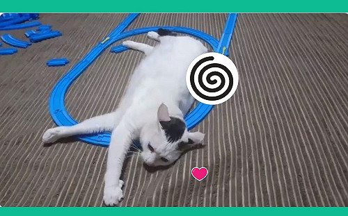 (影)湯瑪士小火車遇上攔路喵星人　被當按摩器貓咪：很蘇湖～