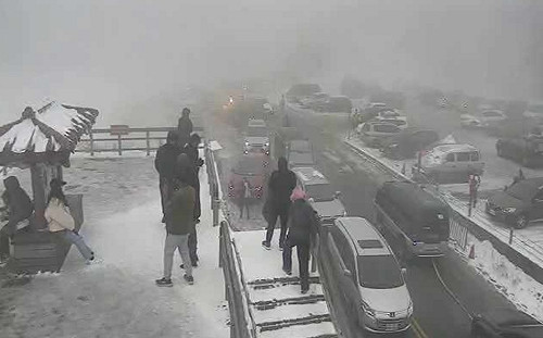 寒流發威合歡山下大雪 2路段夜間預警封閉