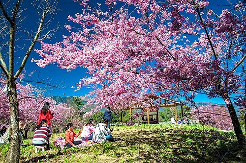 參山國家風景區全面防疫  邀民眾親近大自然  強身增強免疫