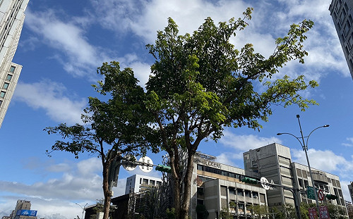 全台暖熱多雲到晴！午後東北季風增強  北台有雨