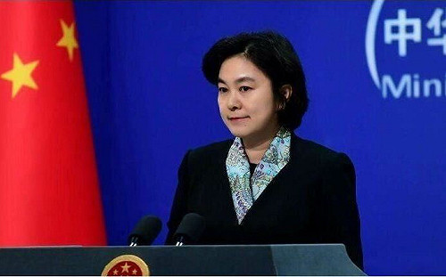 戰狼外交被國際撻伐   華春盈：看過《獅子王》辛巴在打擊中成長嗎？