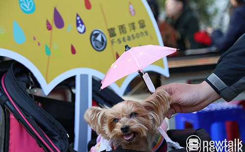逛台灣燈會不用等天黑 富雨洋傘提供LED傘燈DIY免費教學
