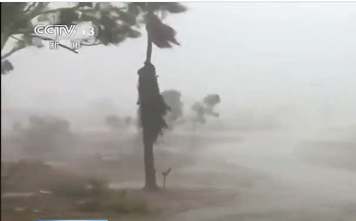 澳洲大雨澆熄2處野火 但洪水將迫數千人離開家園
