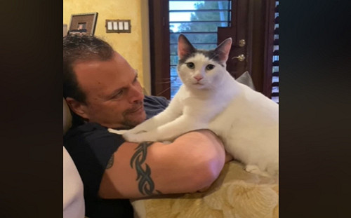 (影)阿爸下班肩頸痠痛 貼心愛喵幫忙按麼網羨:好專業!