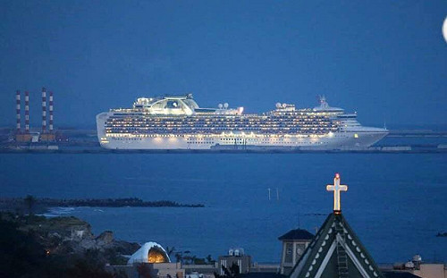 武漢肺炎》鑽石公主號台灣85歲老翁與另一婦人確診就醫 狀況皆穩定