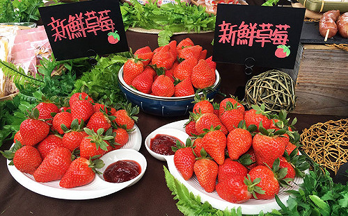 台北就有產鮮甜草莓！內湖溫室高架草莓園下雨也能採