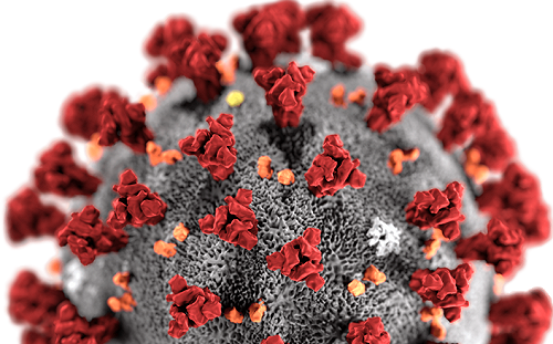 武漢肺炎將使中共覆滅？ 美學者：北京會卸責地方息民怨