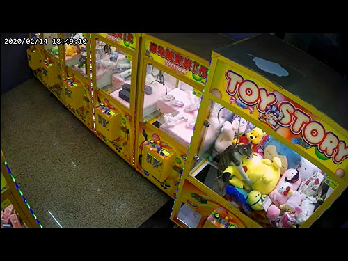 (影)夾娃娃機大玩偶遭可愛扒手俐落行竊　網一致通過：抱緊處理！
