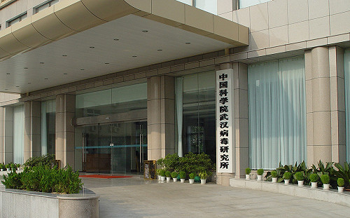 義大利智庫參院辦研討會  要求究責「中國病毒」