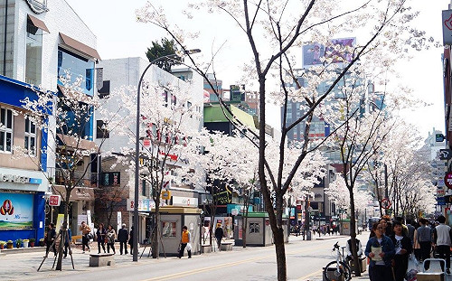 武漢肺炎》屍速列車？韓一日暴增100例  85例與新天地教會有關