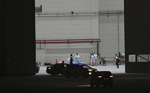 武漢肺炎》鑽石公主號19人完成首次採檢！均無不適症狀