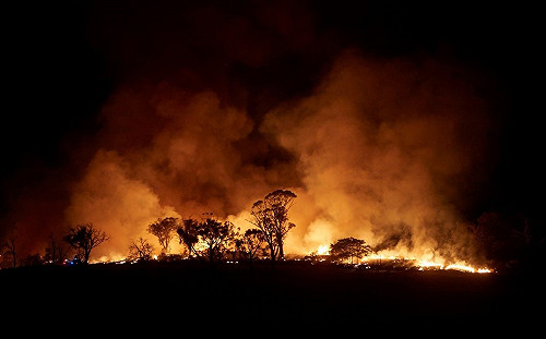 澳洲大火共犯?  綠色和平 : 台電歷年來花3000億買澳煤