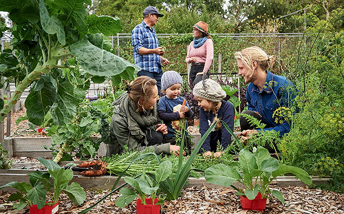 推廣永續旅遊！哈利王子與旅遊產業合作推動評分機制