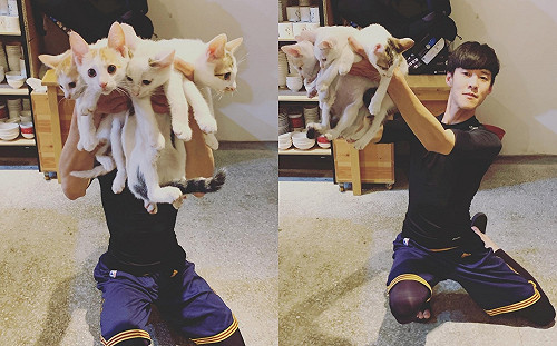 男子雙手捧「萌貓花束」求婚暖爆　眾貓奴瘋狂：絕對秒答應！