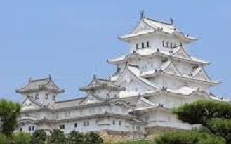 疑院內感染 日本姬路住院患者確診武漢肺炎