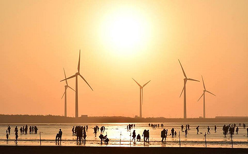 離岸風電場工程因疫情延宕 能源商燒掉百億、成本增加40％