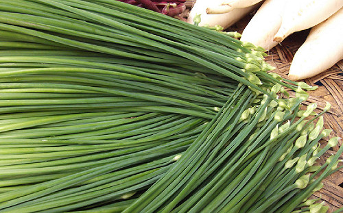 韭菜有排石神效? 台灣事實查核中心破解自然療法