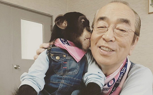 眾星哀悼志村健！陽帆邵雨薇「最喜歡的日本藝人」