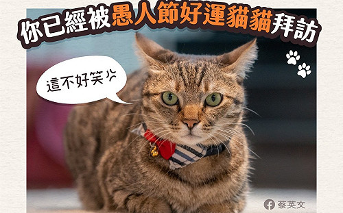 總統曬可愛「蔡想想」提醒  亂開疫情玩笑將罰300萬