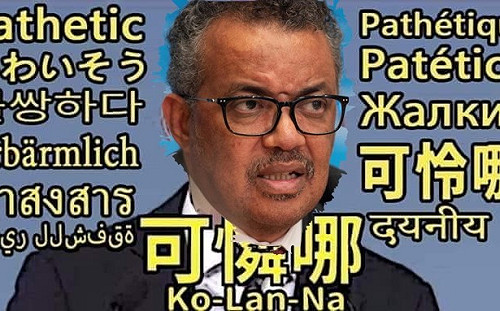 讀者投書》譚德賽與韓國瑜  親共人士為何都有這個共性？