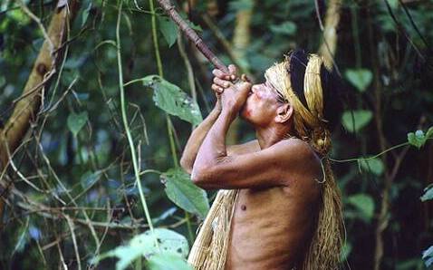 亞馬遜雨林與世隔絕部落驚傳首例確診 專家警告恐致大量死亡