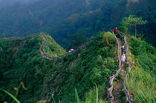 「谷關七雄」郵輪式公車　走訪山景更便利預計下半年上路